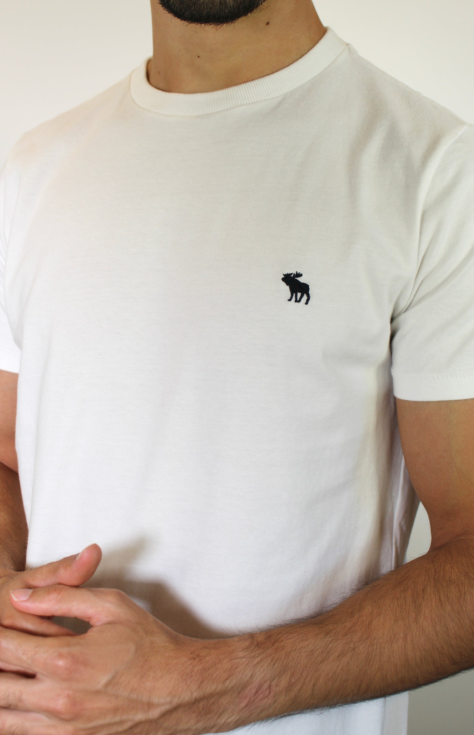 Camiseta Abercrombie Icon - Branca