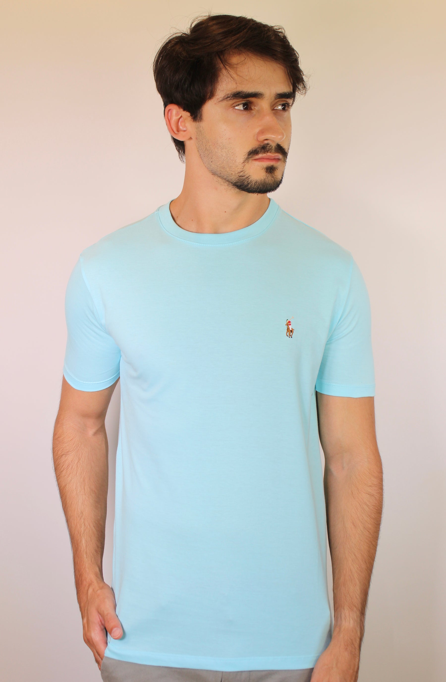 Camiseta RL Essential Small Pony Colorido - Azul Capri