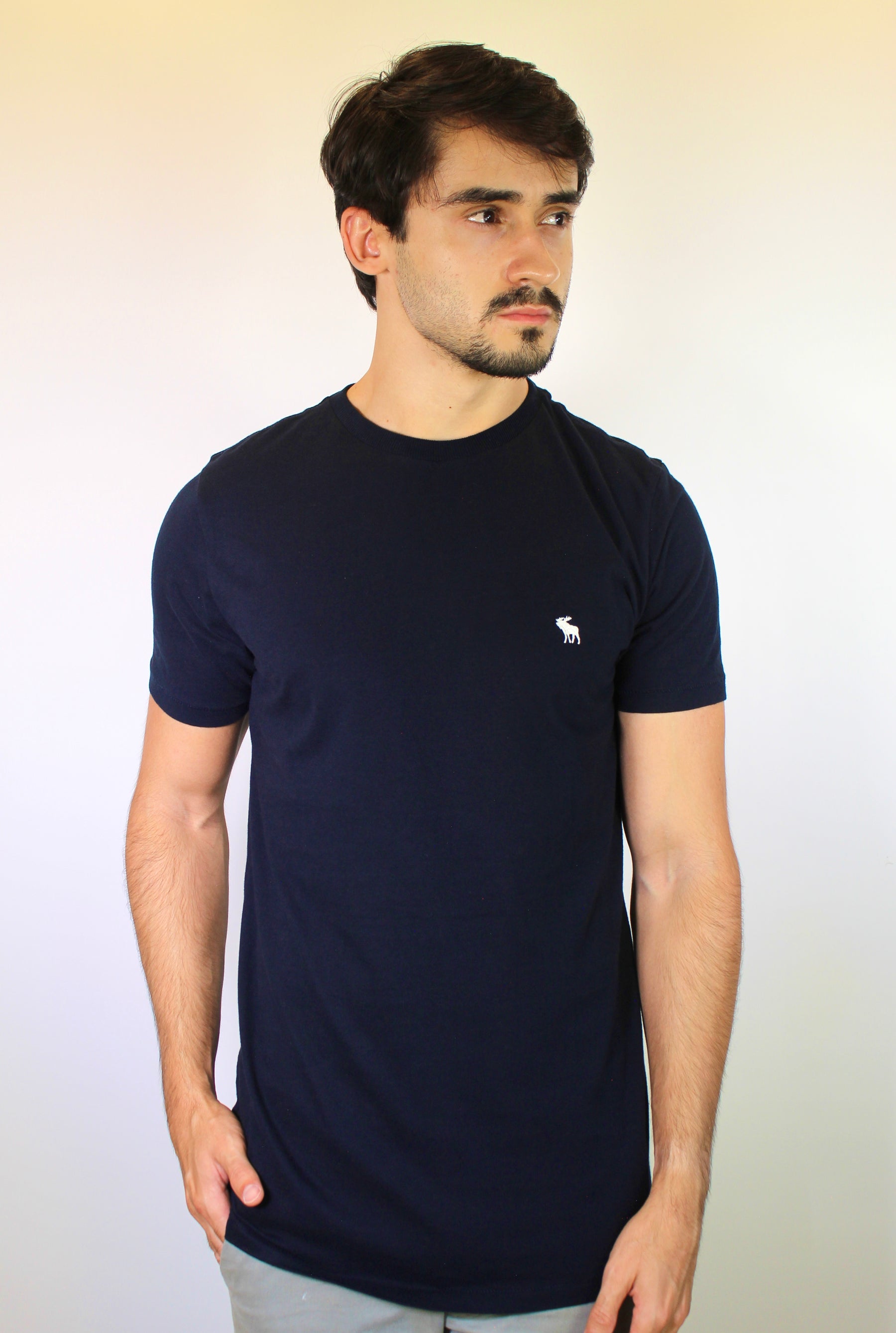 Camiseta Abercrombie Icon - Azul Marinho