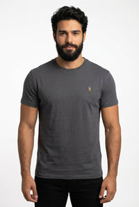 Camiseta RL Icon Classic - Chumbo Small Pony Colorido