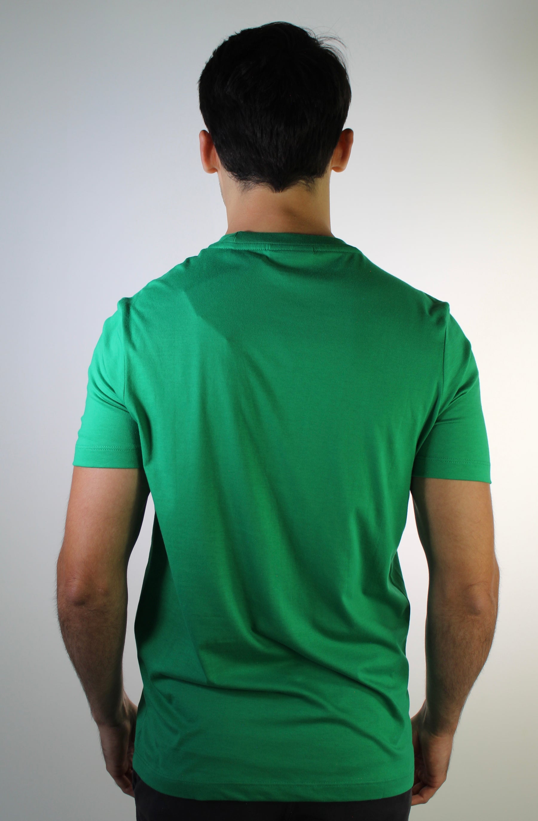 Camiseta Algodão Pima LCT - Verde Bandeira