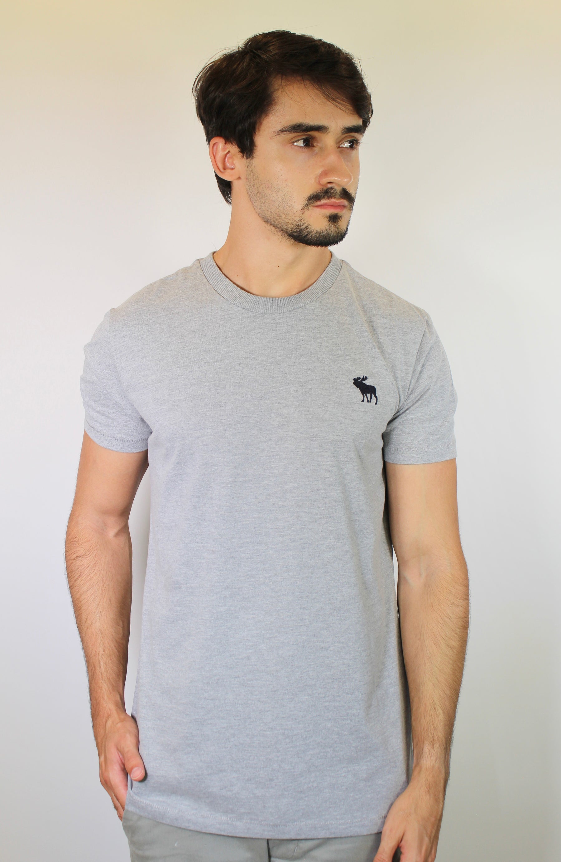 Camiseta Abercrombie Icon - Cinza