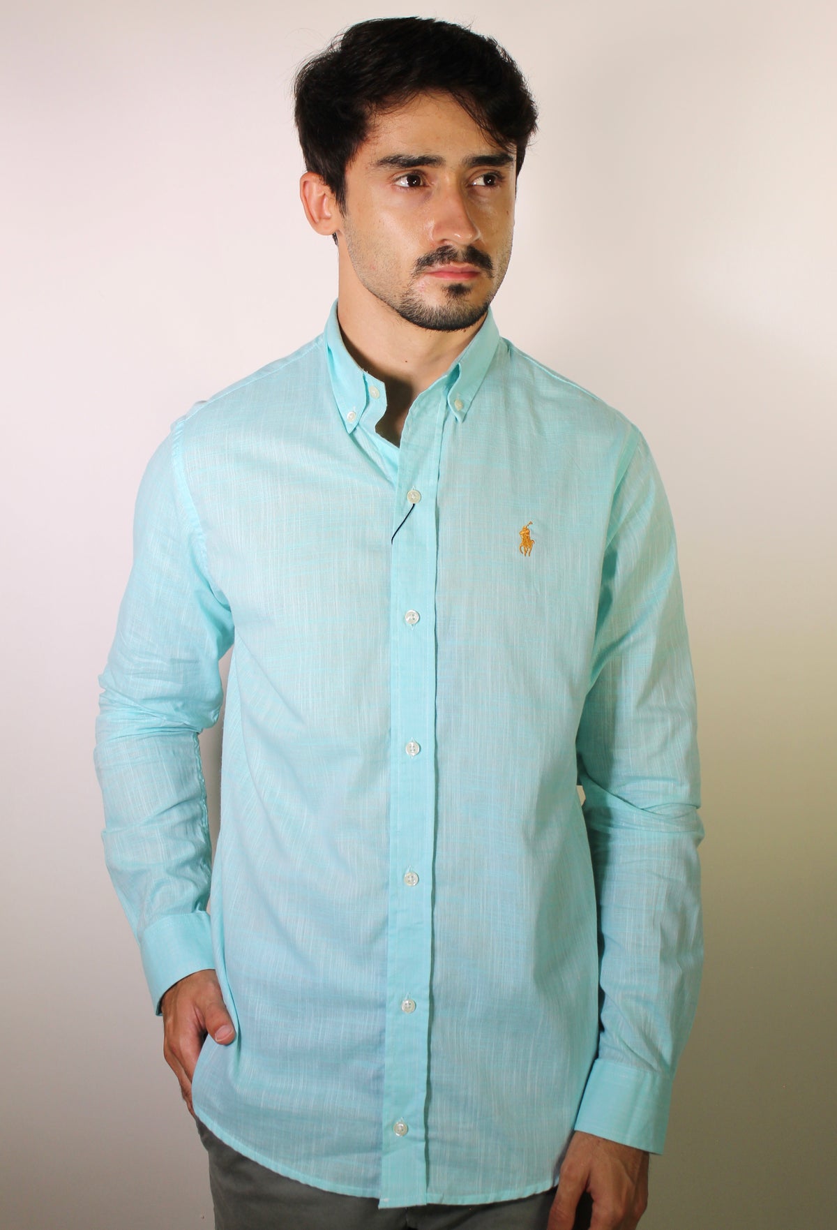 Camisa RL Manga Longa Linho - Verde Água Small Pony Dourado