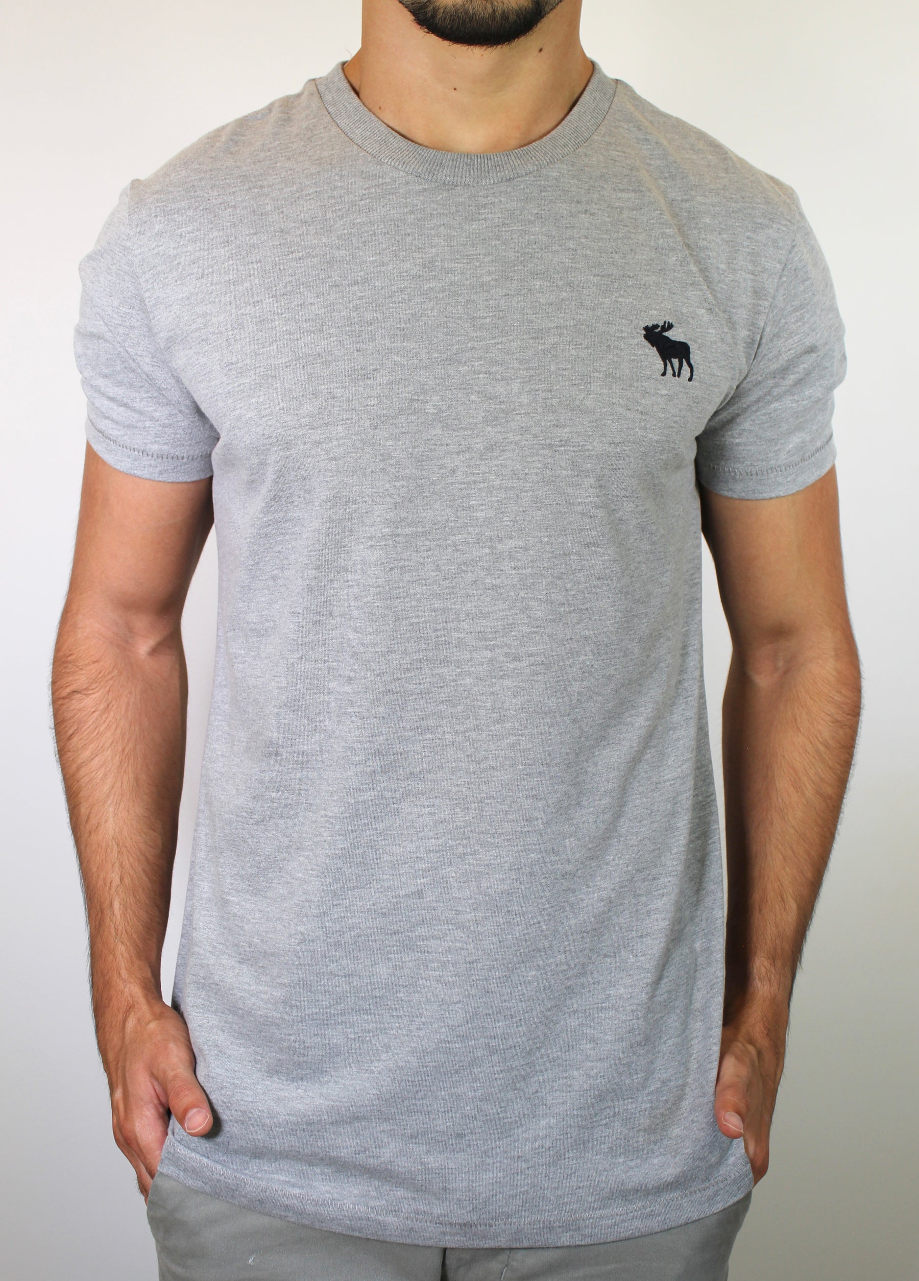 Camiseta Abercrombie Icon - Cinza