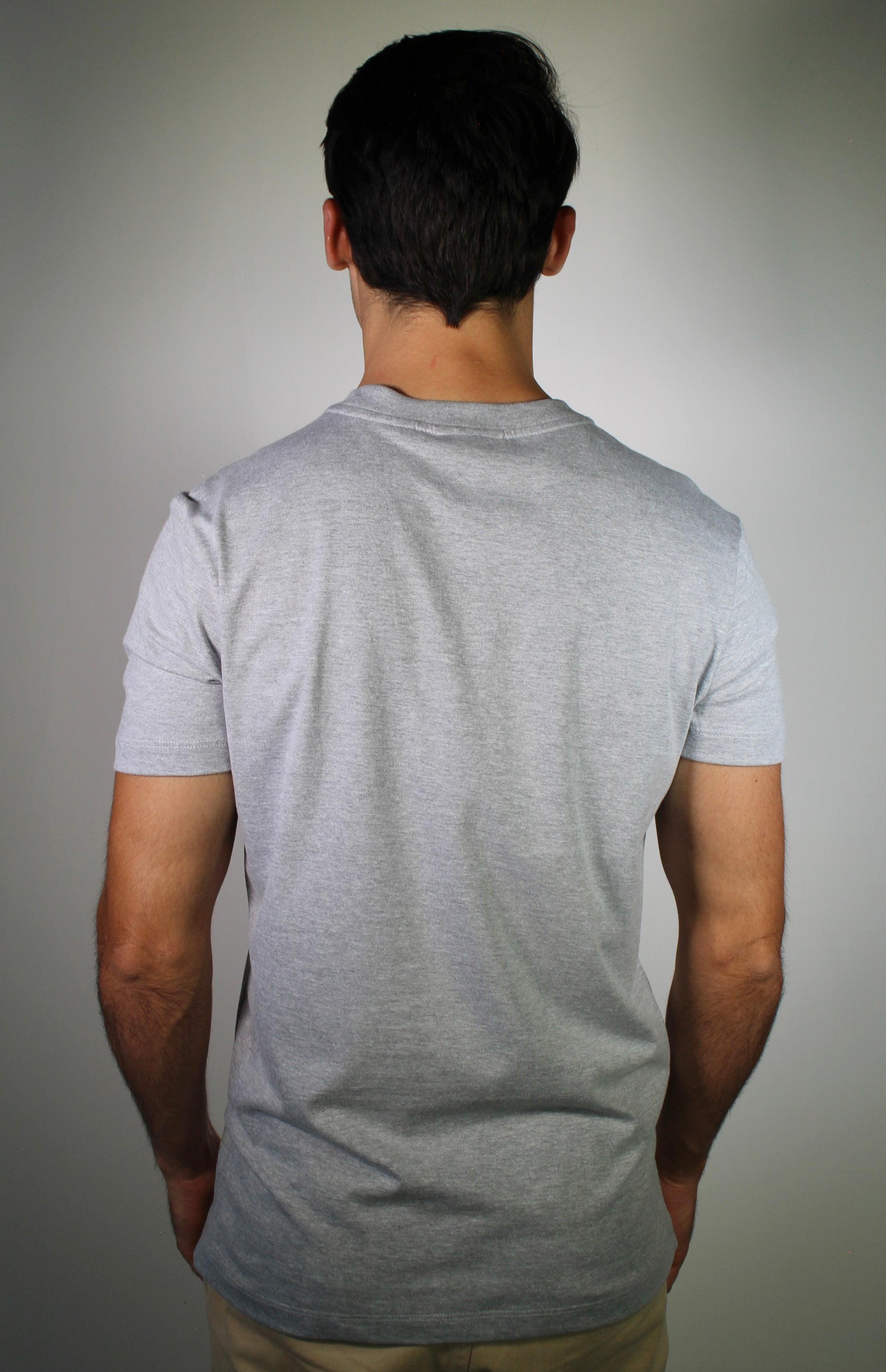 Camiseta LCT Monochrome Croc - Cinza