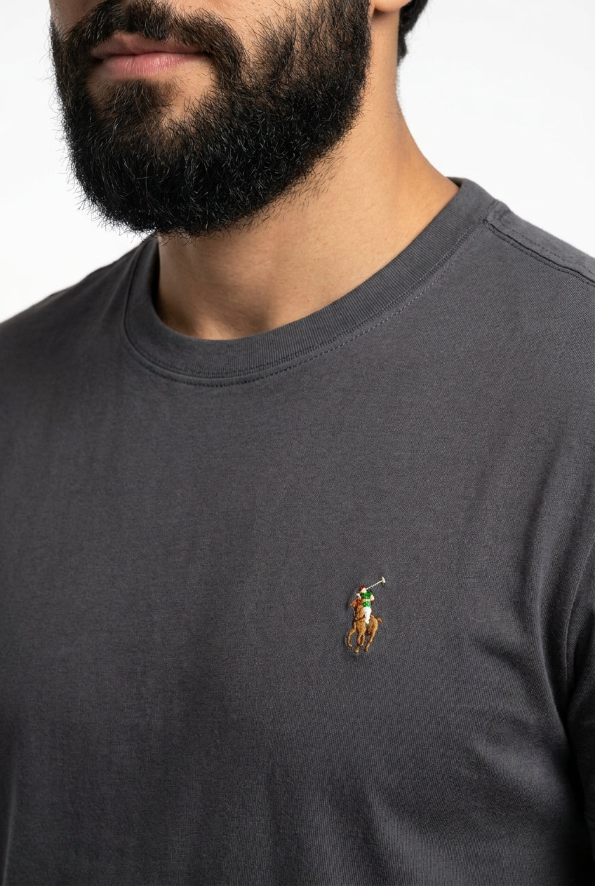 Camiseta RL Essential Small Pony Colorido - Chumbo
