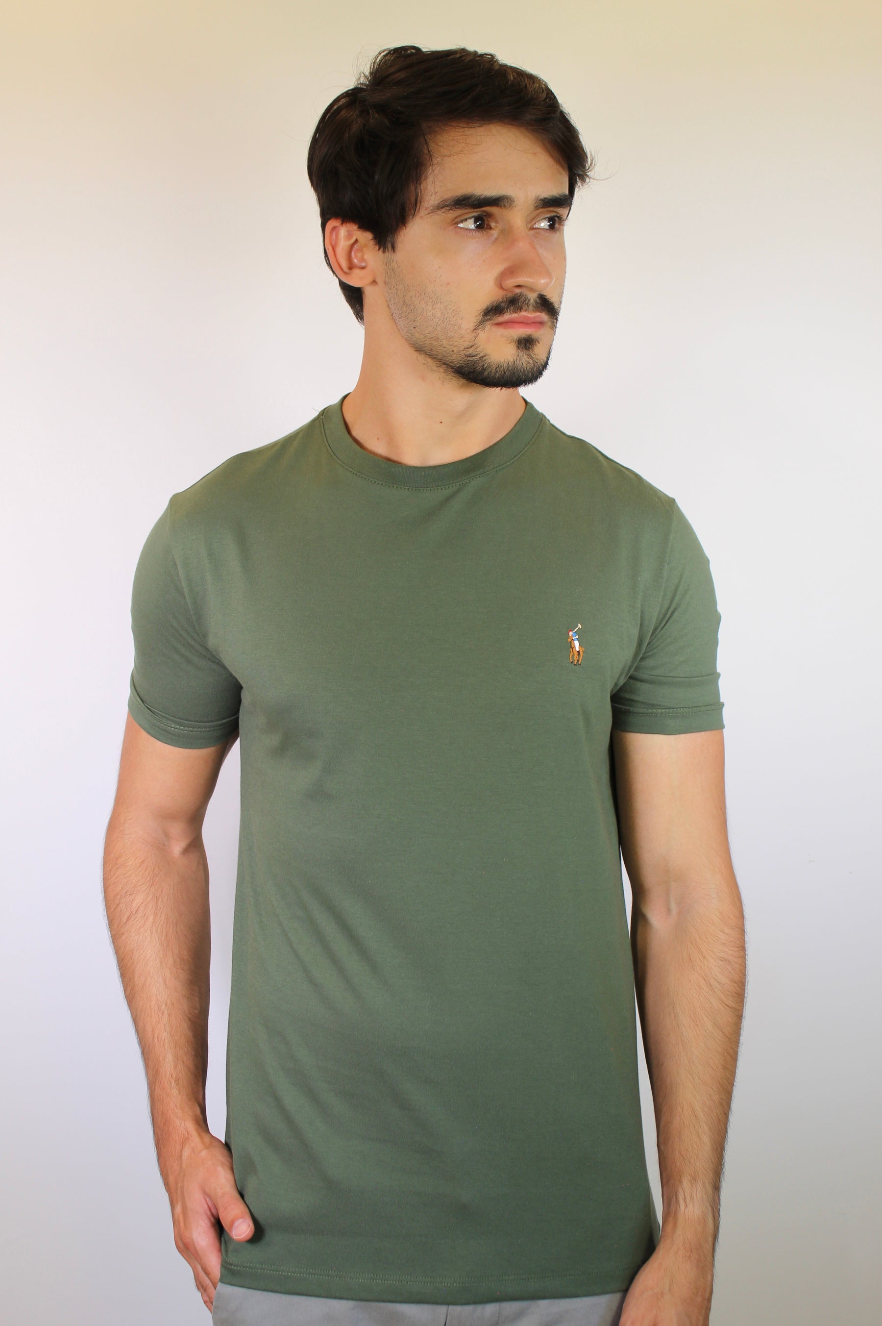 Camiseta RL Essential Small Pony Colorido - Verde Musgo