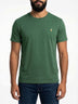 Verde Folha