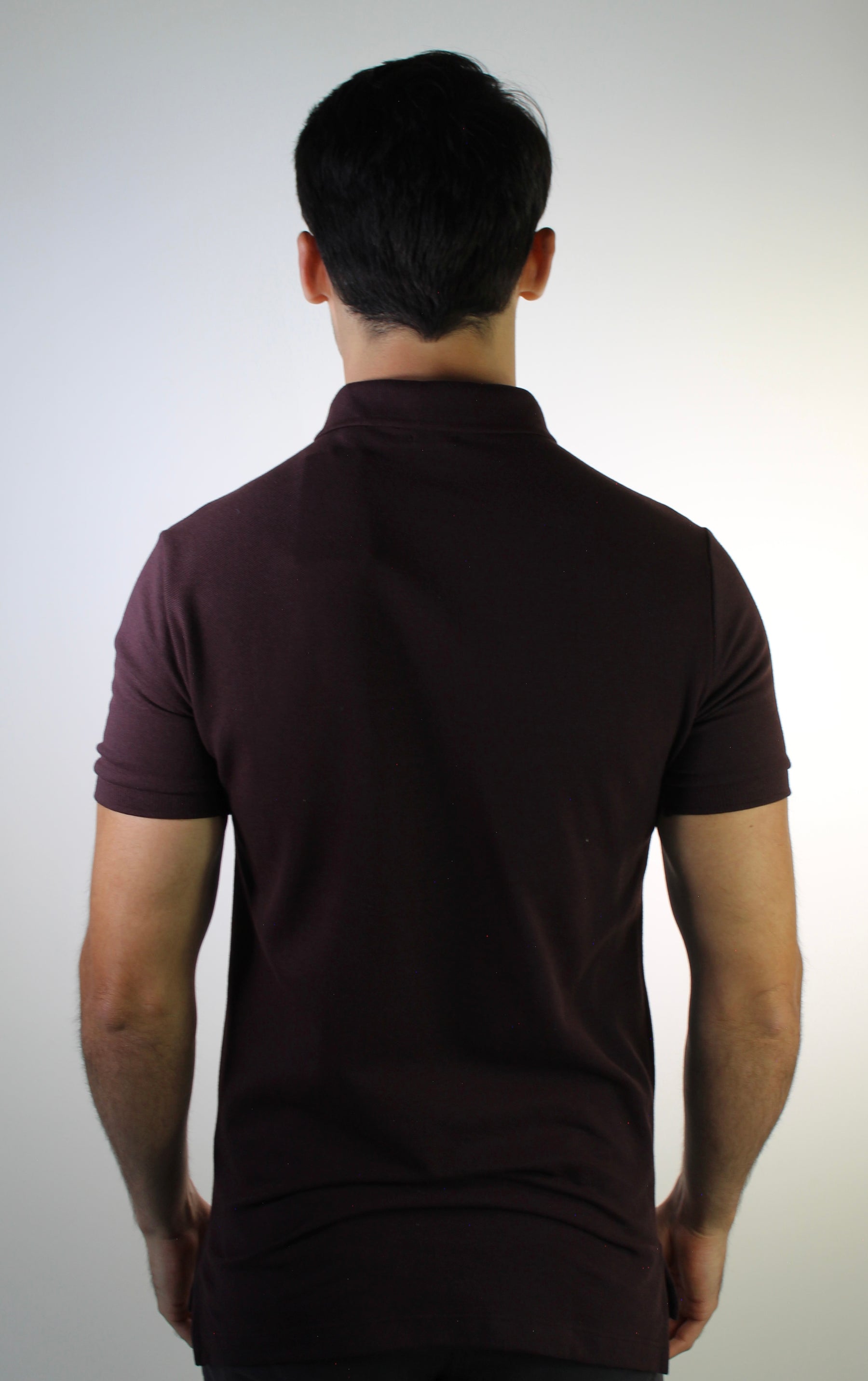 Camisa Gola Polo RL - Café