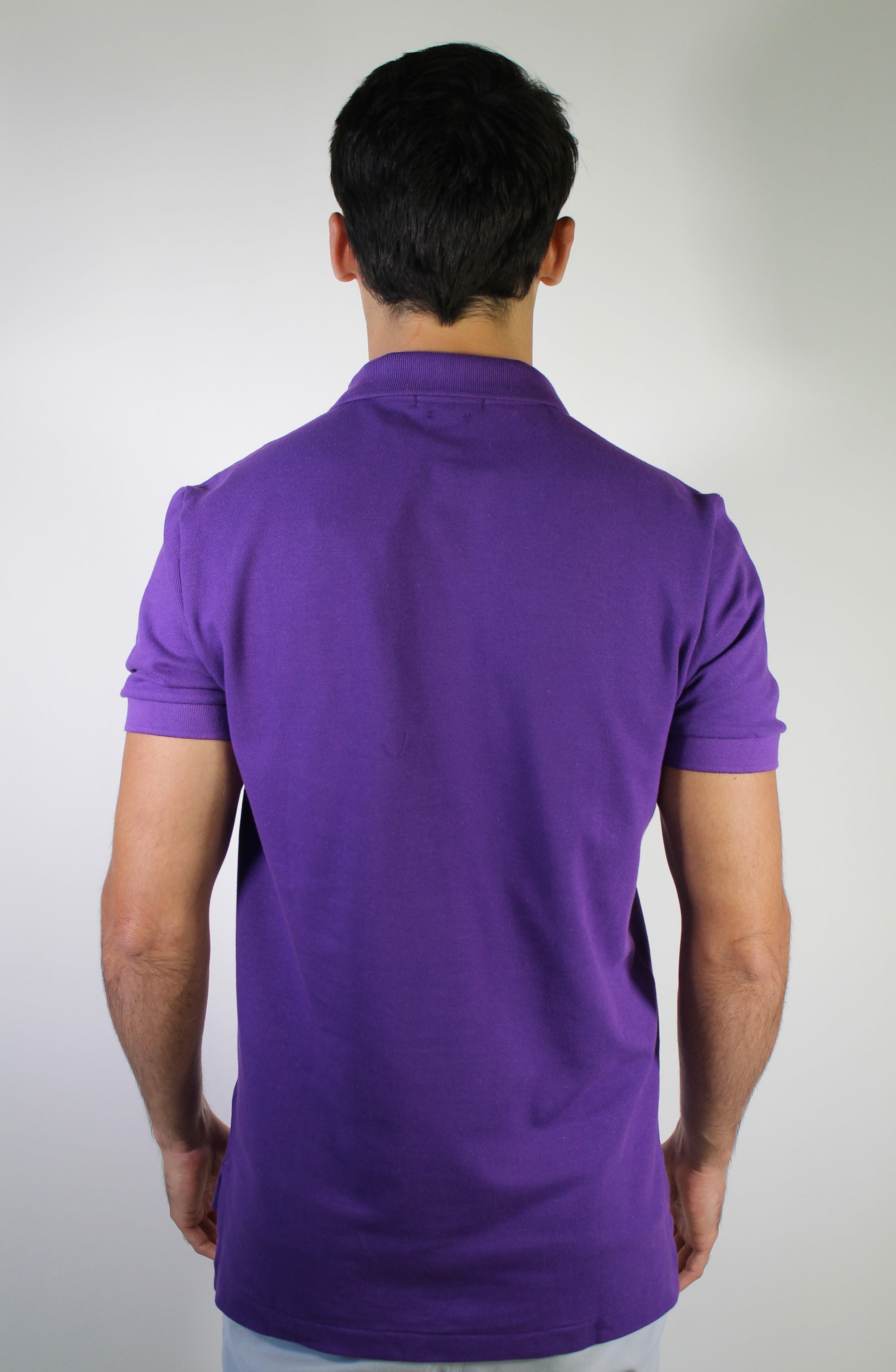Camisa Gola Polo RL - Roxa Small Pony Colorido