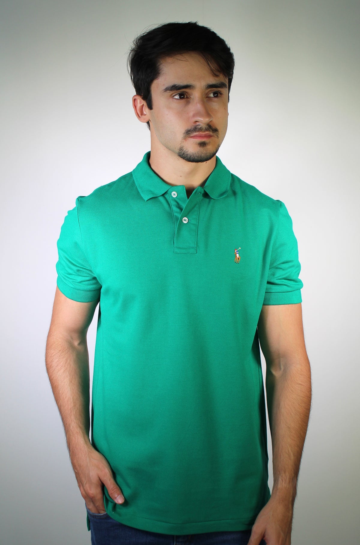 Camisa Gola Polo RL - Verde Bandeira Small Pony Colorido