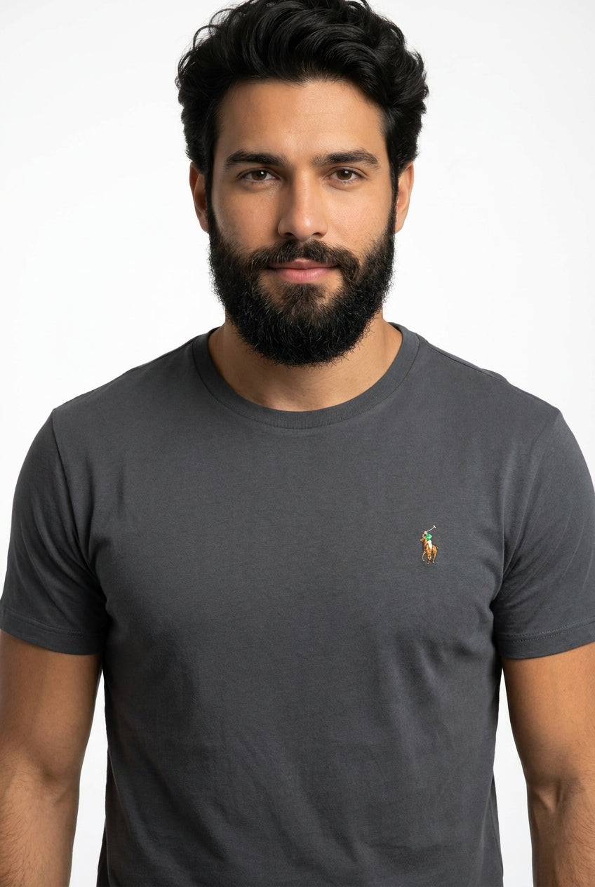 Camiseta RL Essential Small Pony Colorido - Chumbo