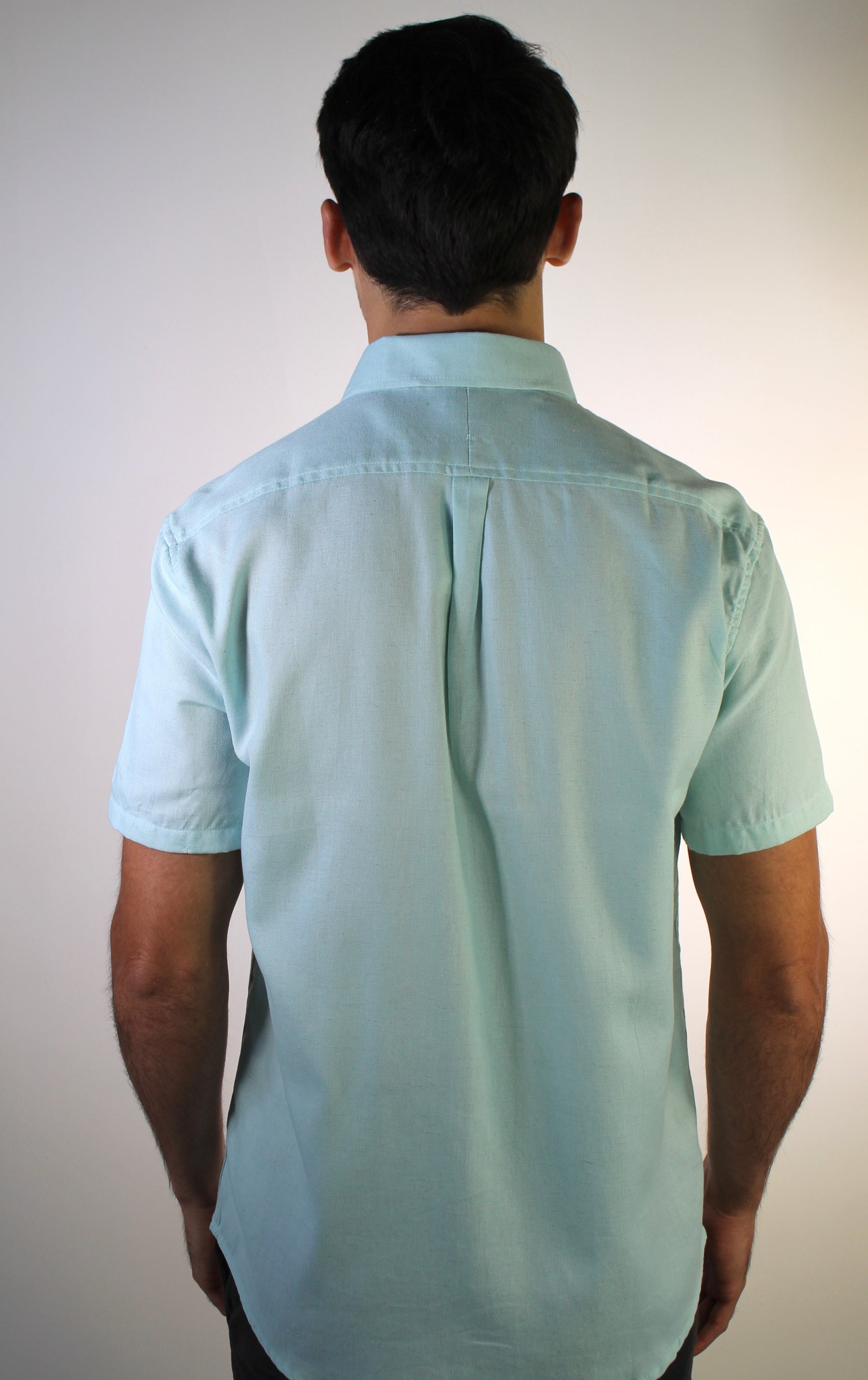 Camisa Social Manga Curta RL Linho - Verde Água Small Pony Monocromático