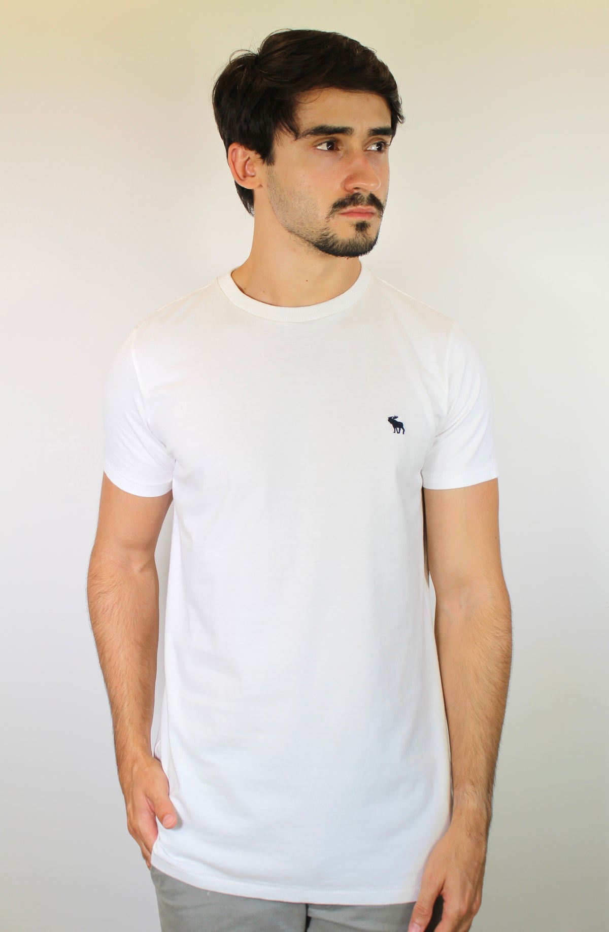 Camiseta Abercrombie Icon - Branca