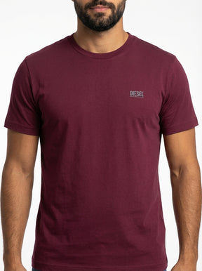 Camiseta DSL Pure Icon - Bordô