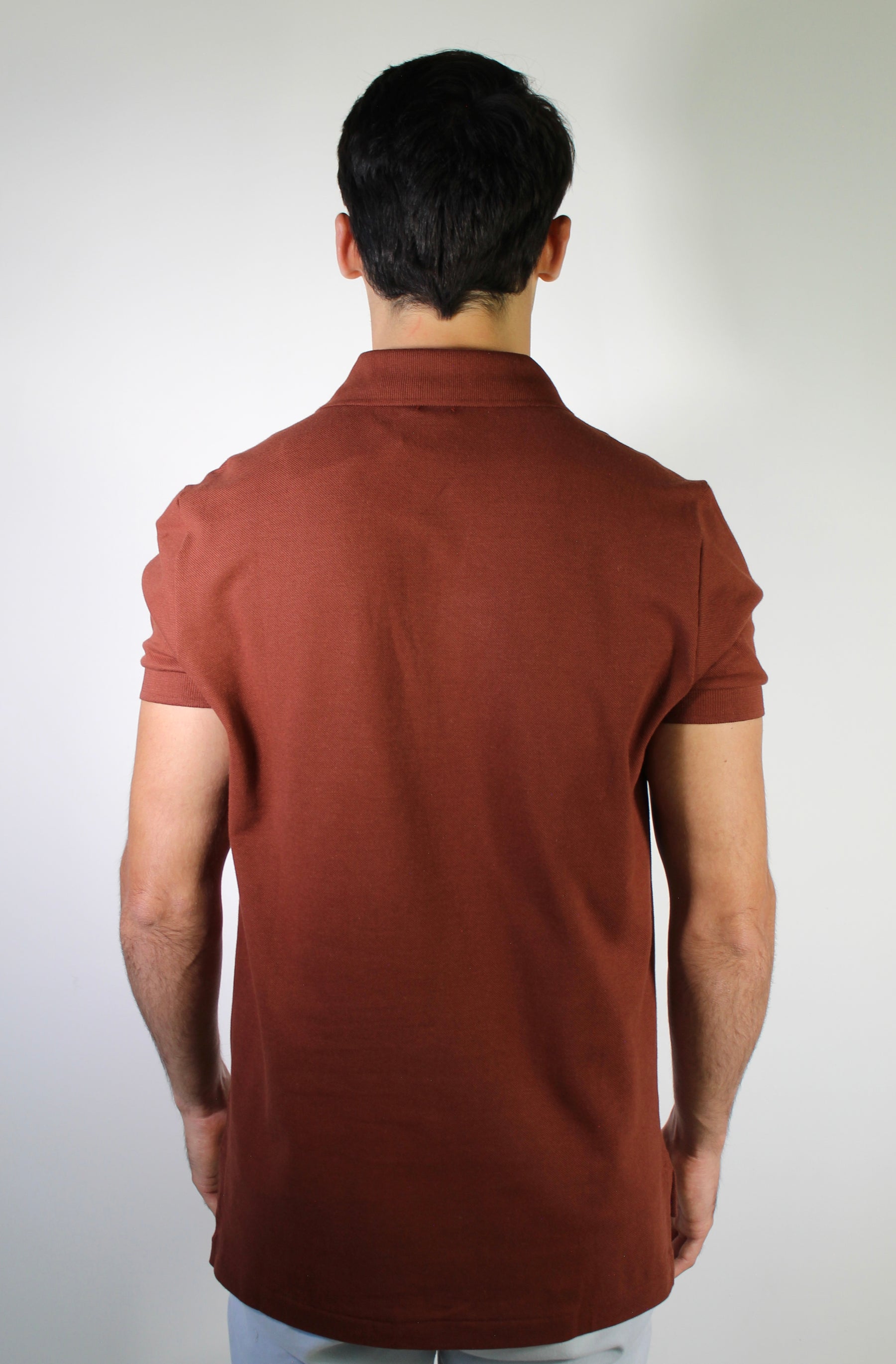 Camisa Gola Polo RL - Terracota Small Pony Colorido