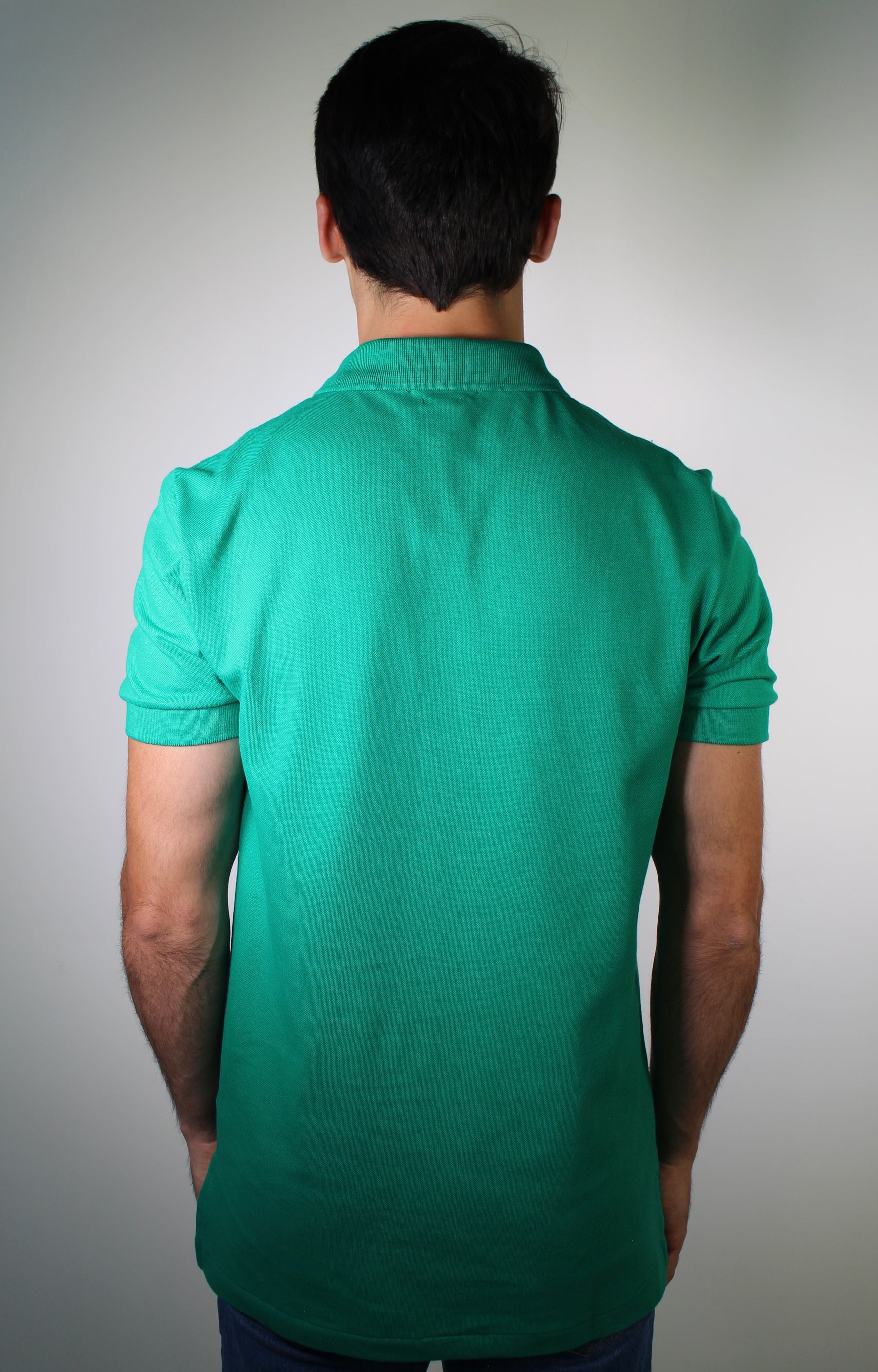 Camisa Gola Polo RL - Verde Bandeira Small Pony Colorido