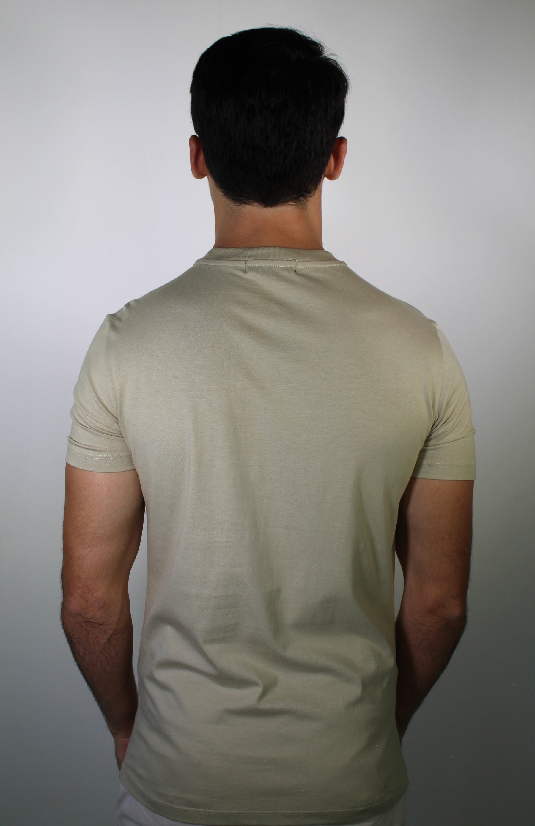 Camiseta DSL Essential Logo - Cáqui