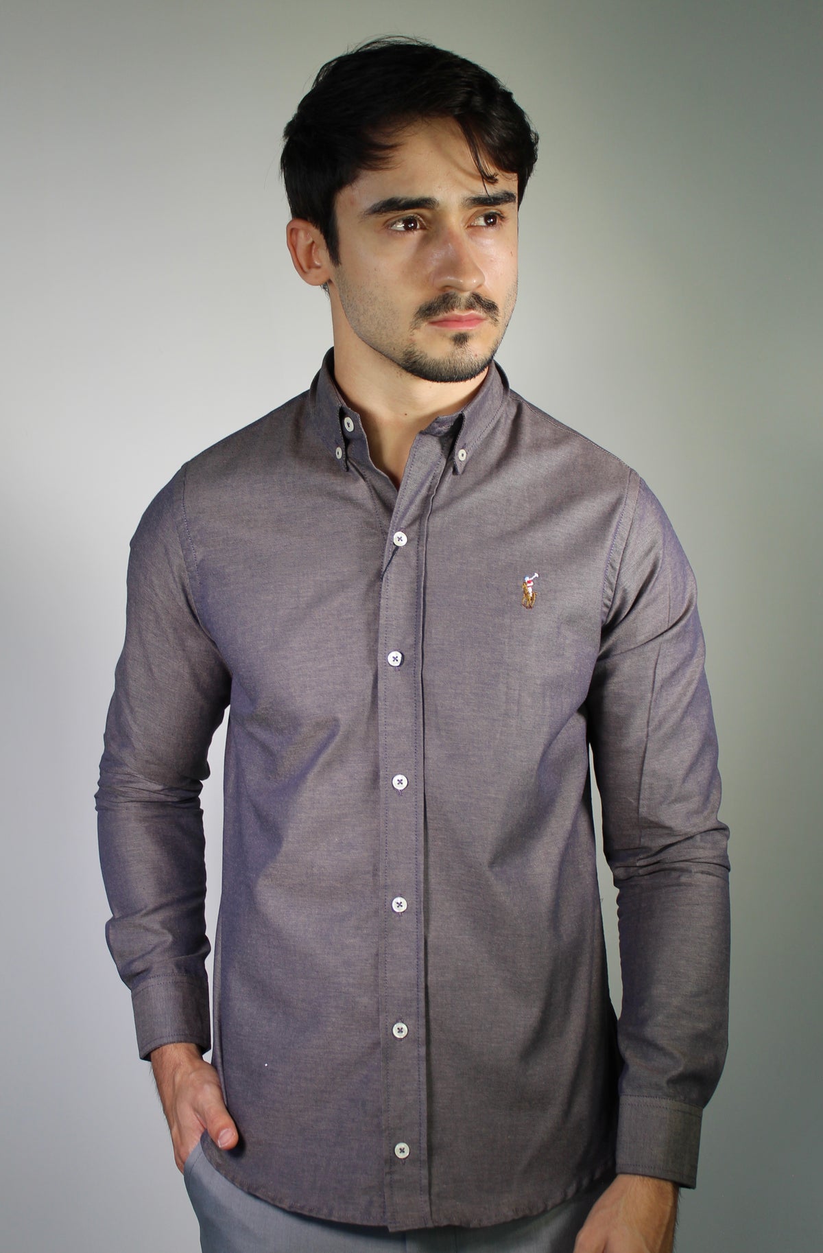 Camisa Social Lisa RL Manga Longa - Berinjela Mescla