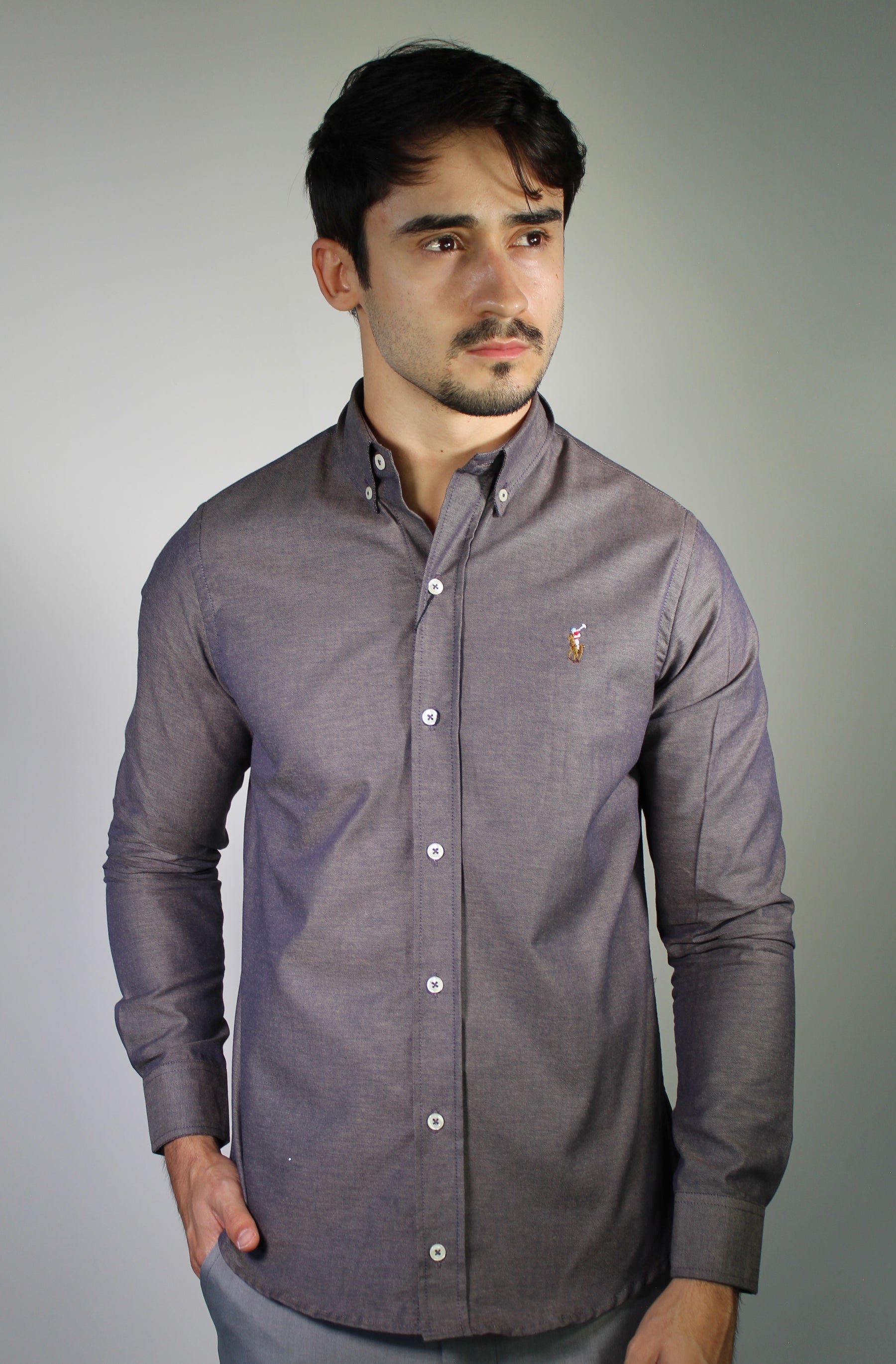 Camisa Social Lisa RL Manga Longa - Berinjela Mescla