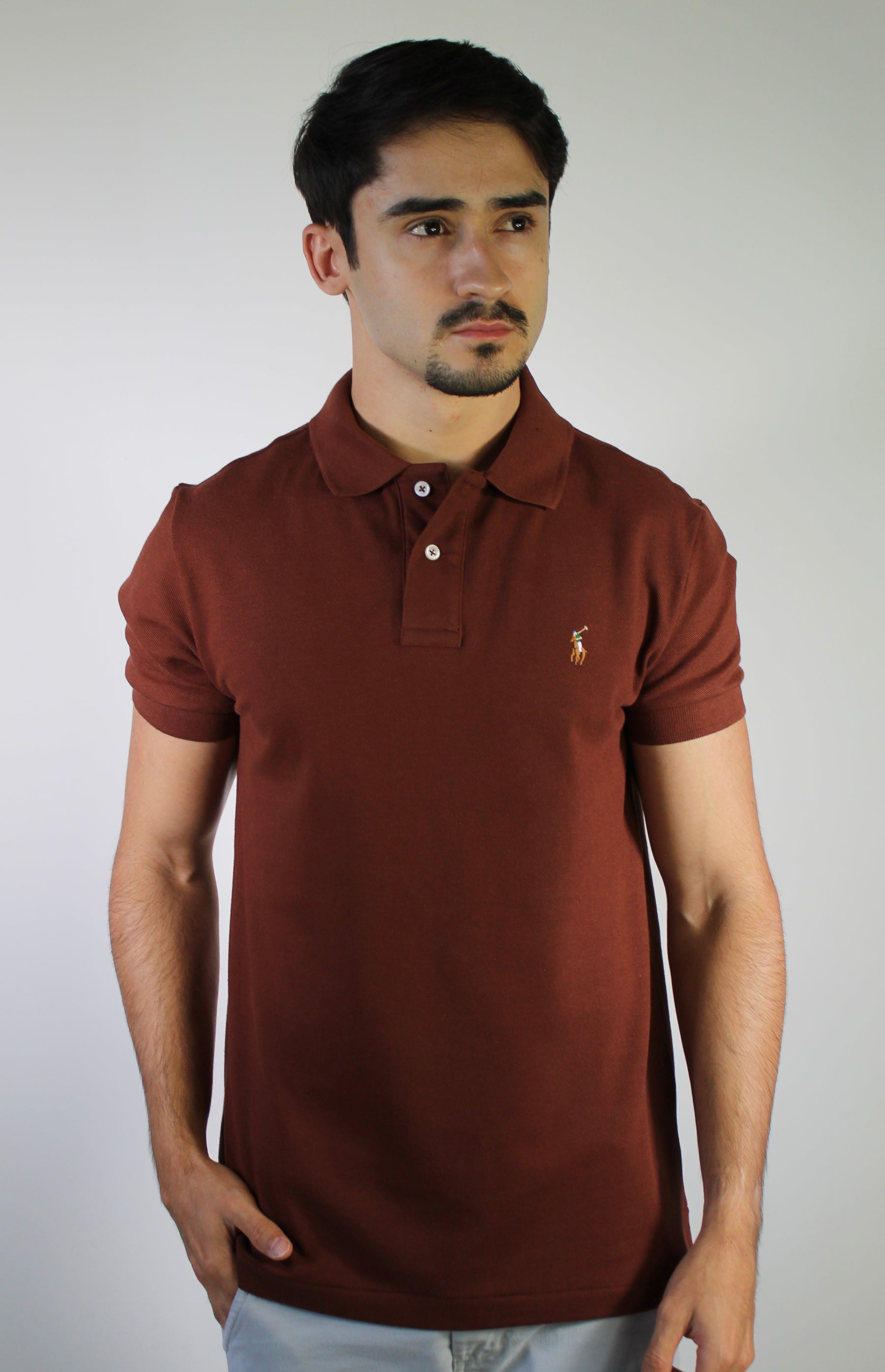 Camisa Gola Polo RL - Terracota Small Pony Colorido