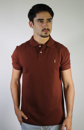 Camisa Gola Polo RL - Terracota Small Pony Colorido