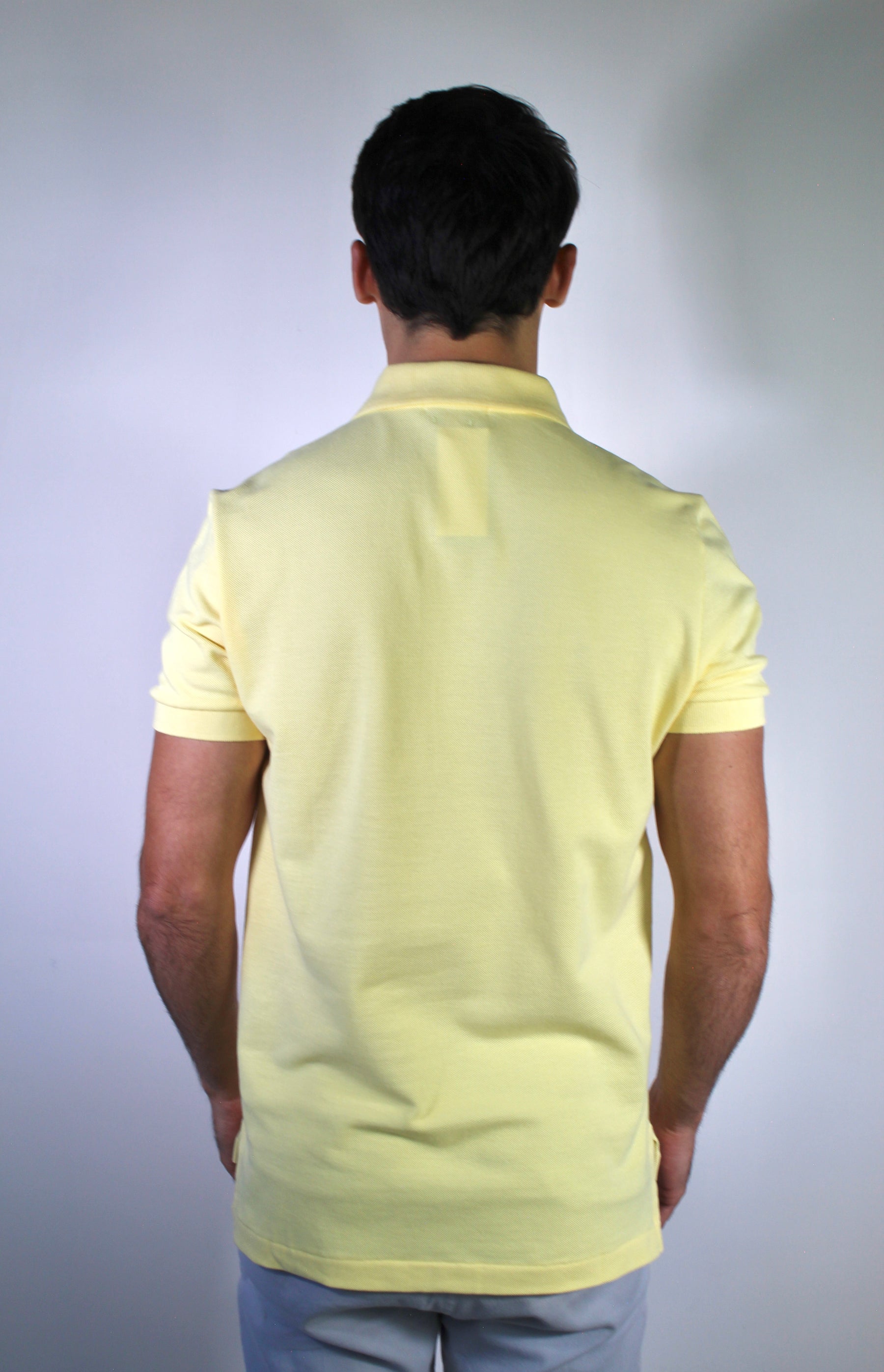 Camisa Gola Polo RL - Amarela Small Pony Colorido
