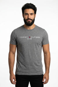 Camiseta TH Est. 1985 - Chumbo