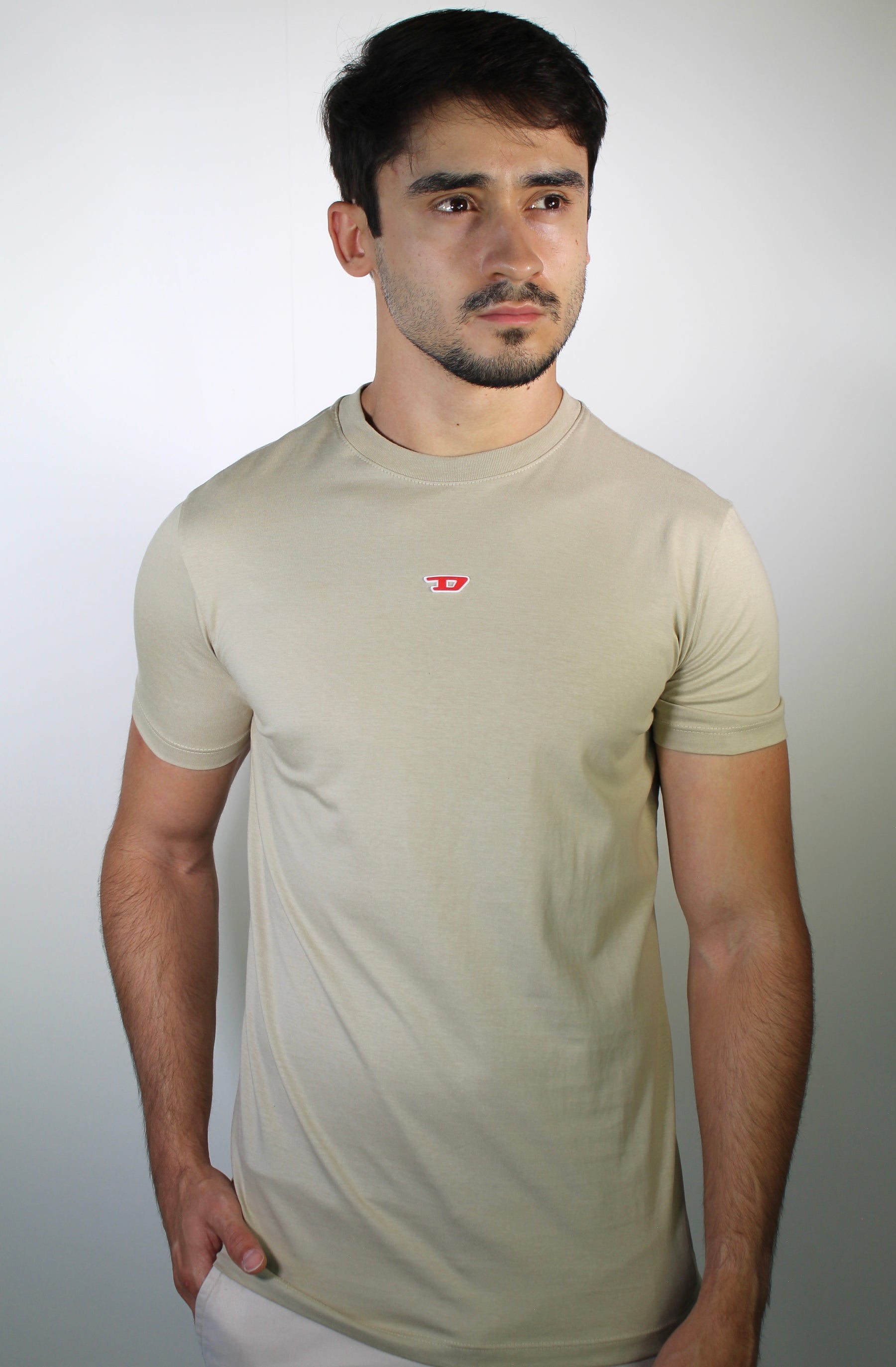 Camiseta DSL Essential Logo - Cáqui