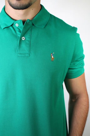 Camisa Gola Polo RL - Verde Bandeira Small Pony Colorido