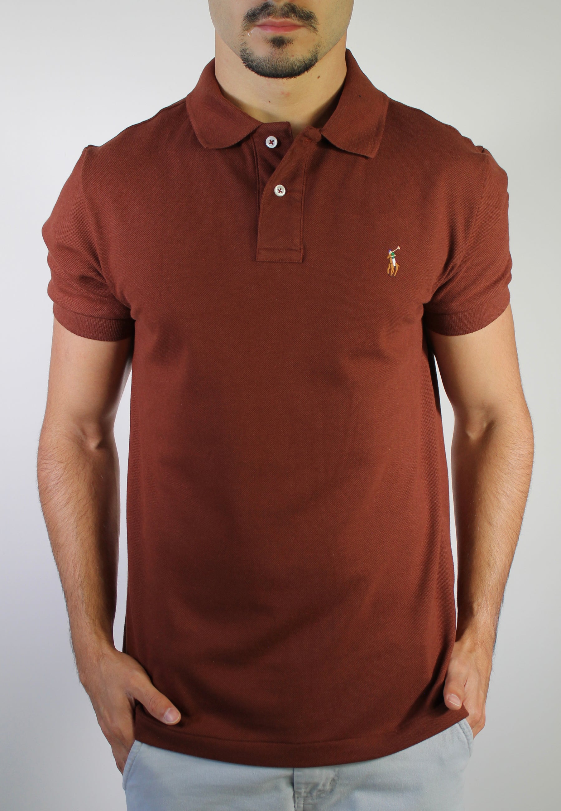 Camisa Gola Polo RL - Terracota Small Pony Colorido