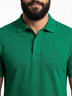 Verde Bandeira