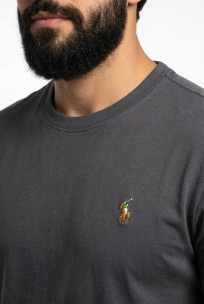 Camiseta RL Essential Small Pony Colorido - Chumbo