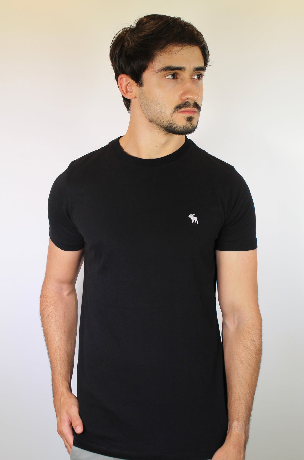 Camiseta Abercrombie Icon - Preta