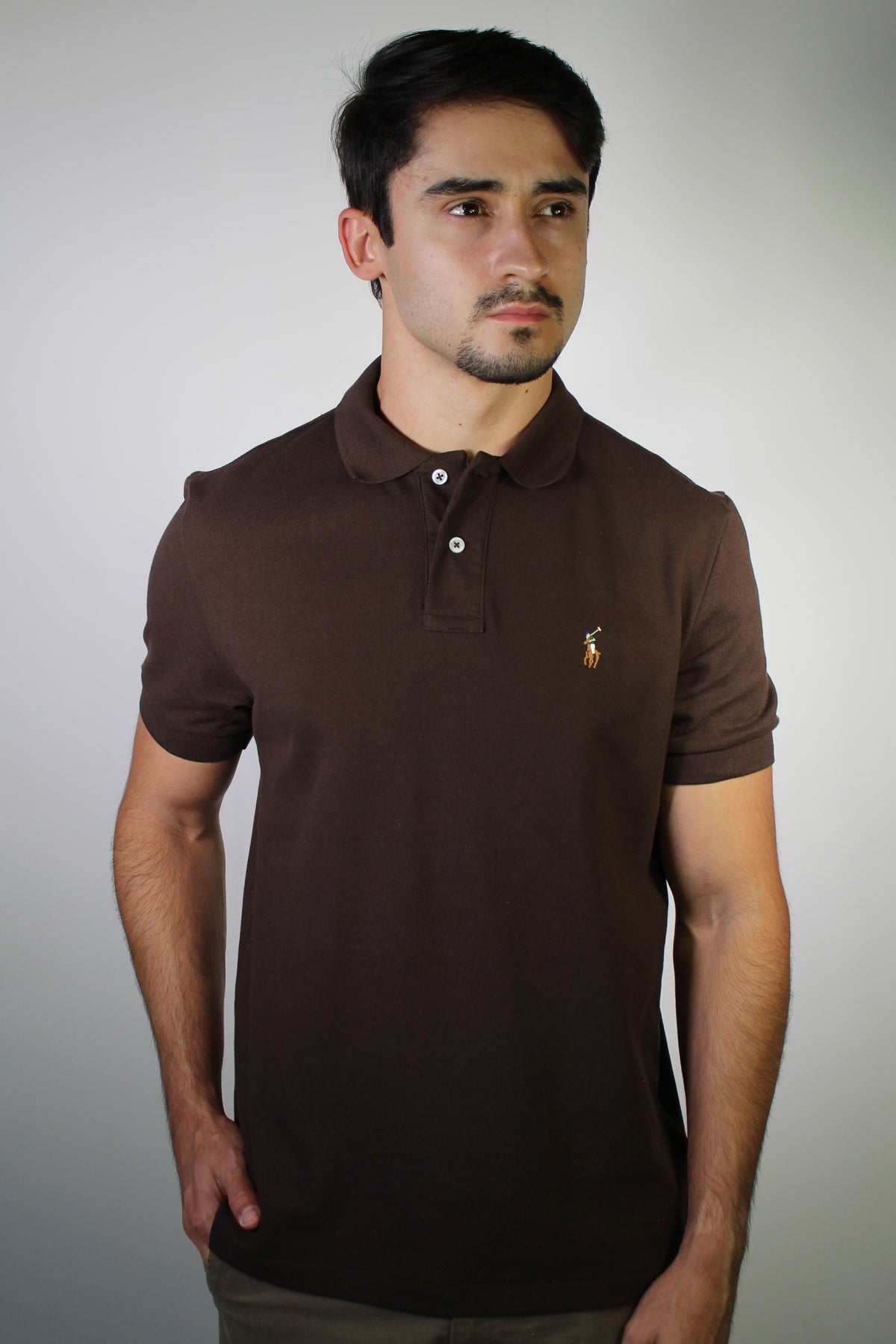 Camisa Gola Polo RL - Marrom Small Pony Colorido