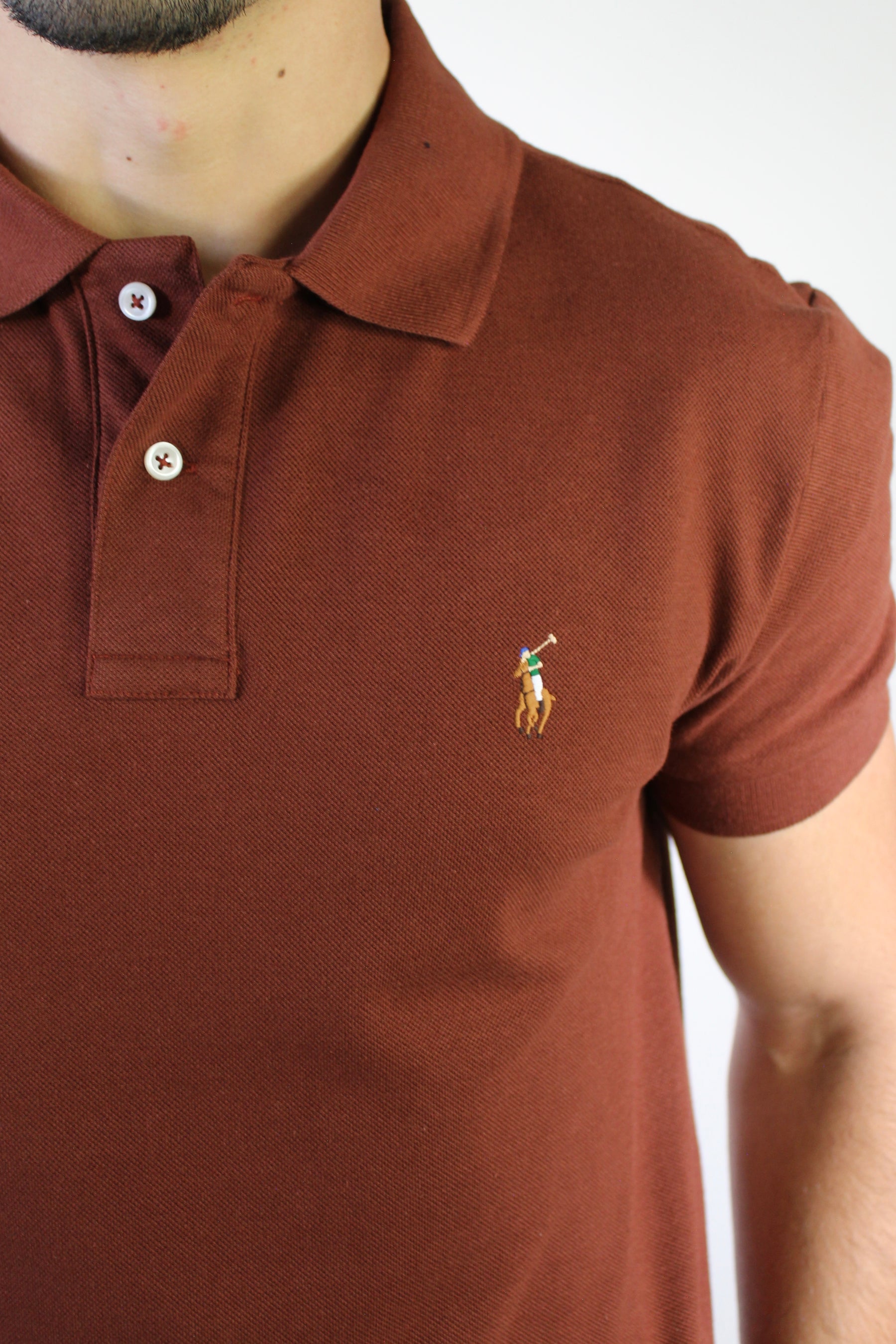 Camisa Gola Polo RL - Terracota Small Pony Colorido