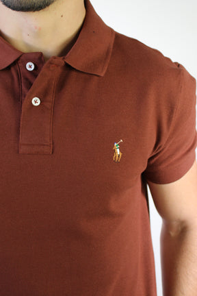 Camisa Gola Polo RL - Terracota Small Pony Colorido