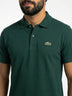 Verde Musgo