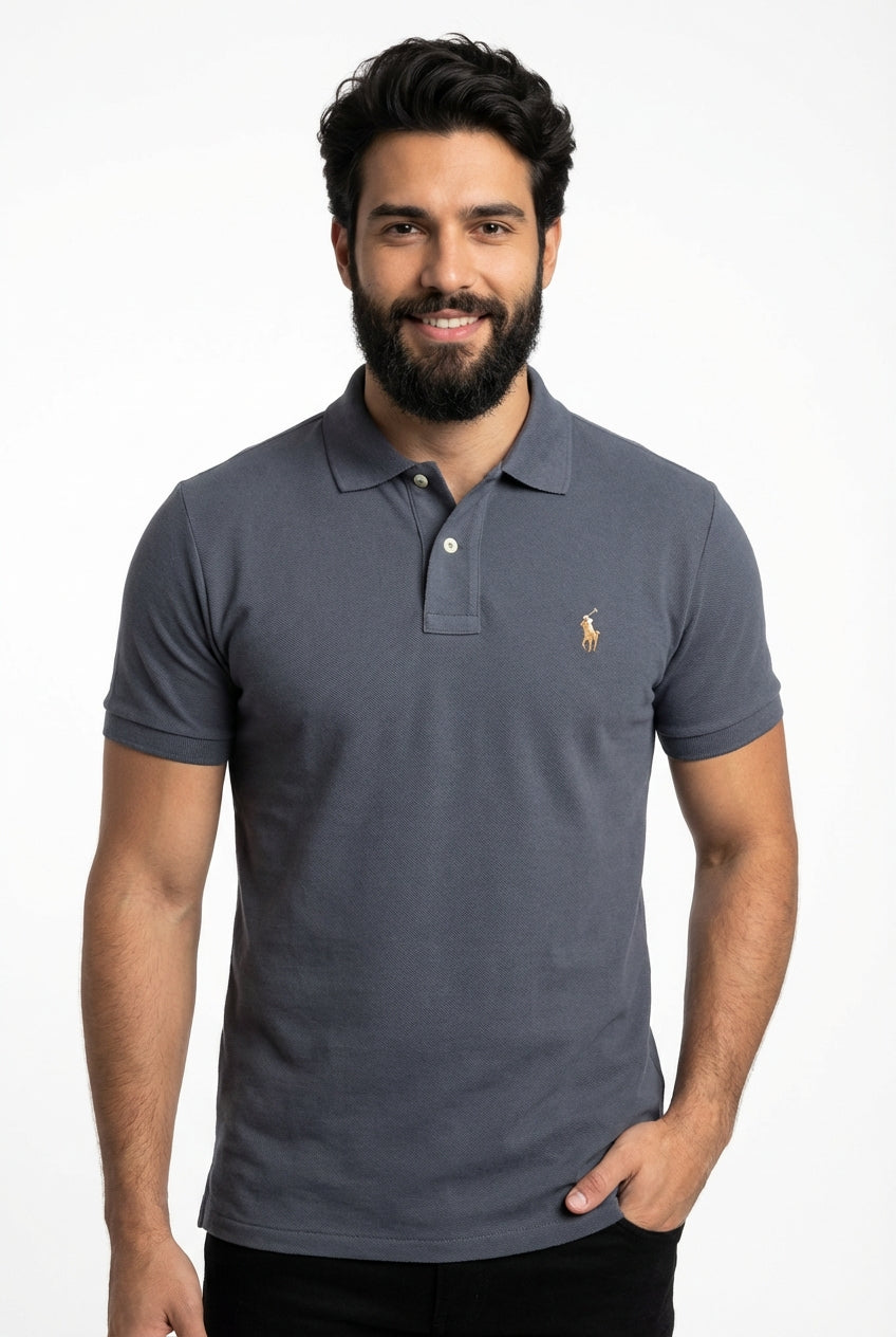 Camisa Gola Polo RL - Chumbo Small Pony Colorido