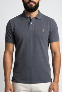 Camisa Gola Polo RL - Chumbo Small Pony Colorido