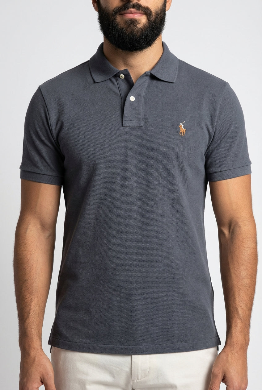 Camisa Gola Polo RL - Chumbo Small Pony Colorido